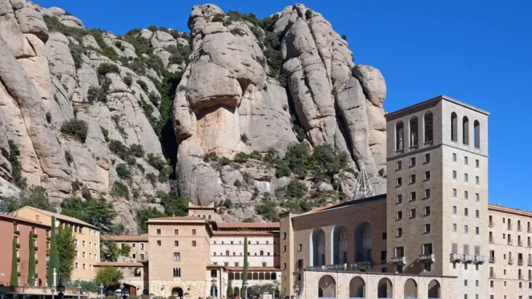 How to Avoid Mountain Hotels Wildlife Risks: A Definitive Forensic Guide