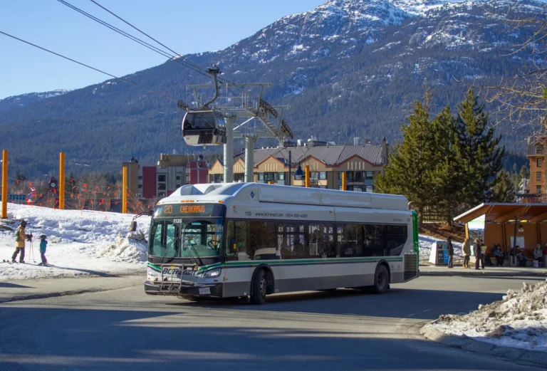 How to Reduce Mountain Hotels Transport Fees: A Definitive Forensic Guide