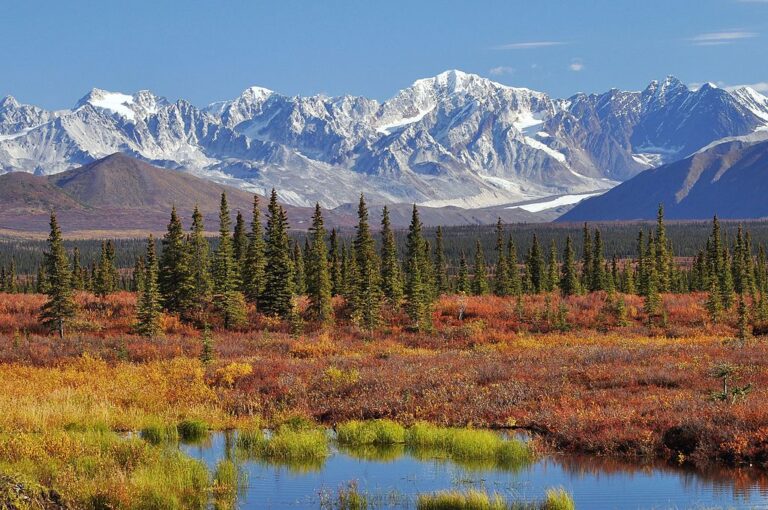 Top Mountain Experiences in America: A Guide to Alpine Engagement